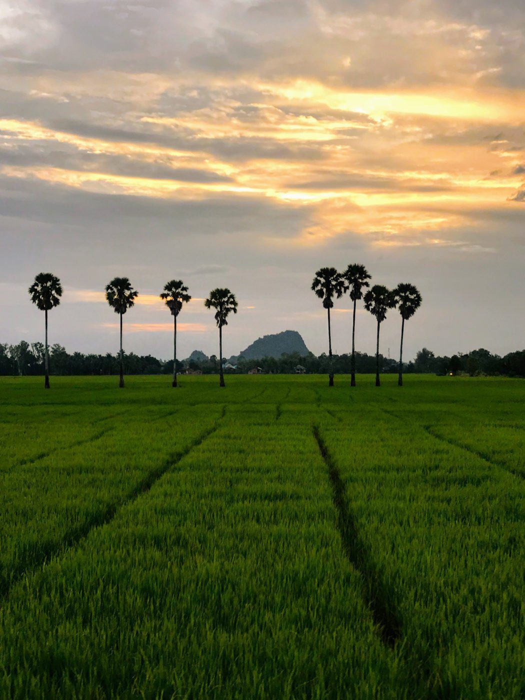 Exploring the Thai countryside